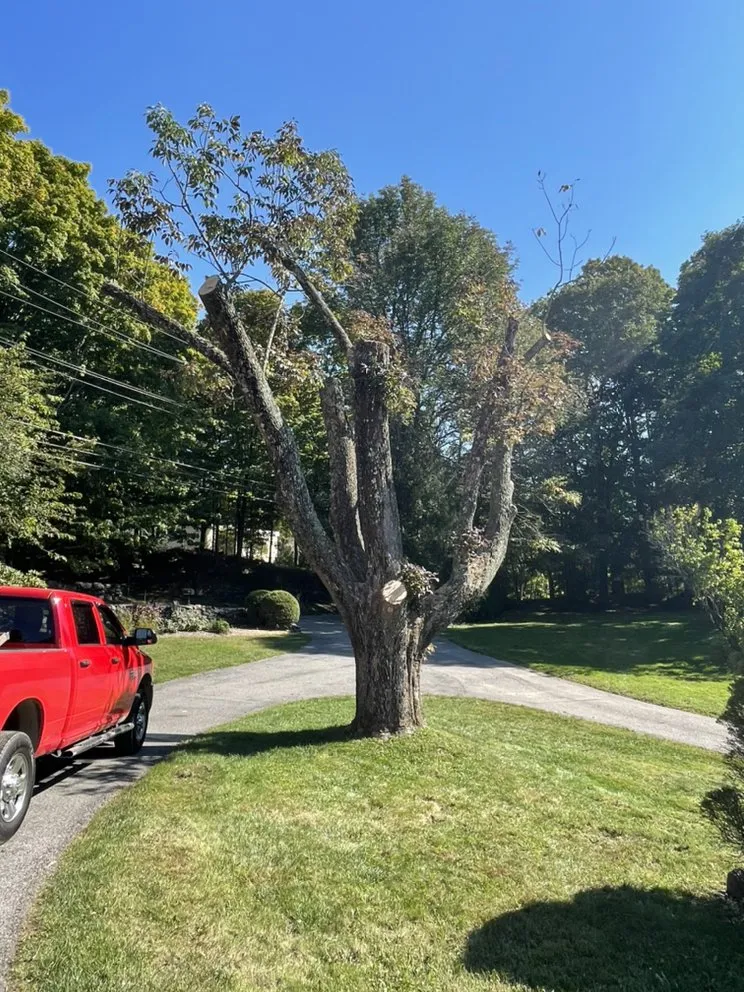 Custom lawn mowing service experts serving Mount Kisco, NY - Jg landscape & garden and design