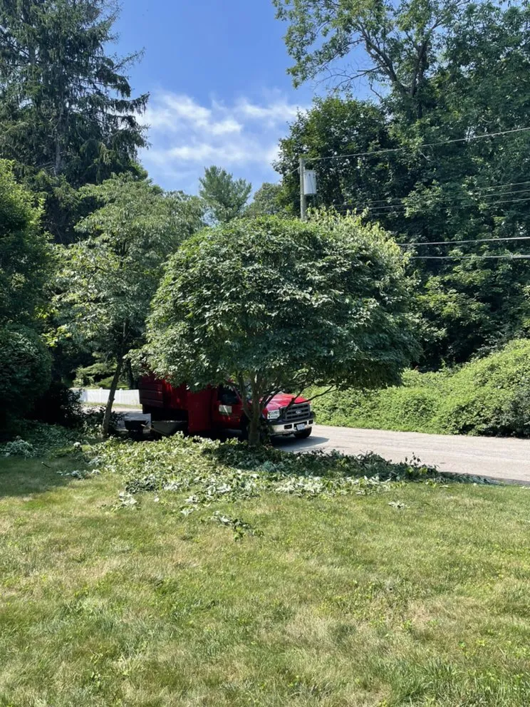 Trusted garden landscaping experts serving Mount Kisco, NY - Jg landscape & garden and design