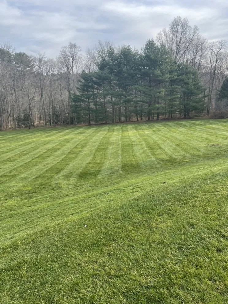 Professional landscaping services for year-round maintenance in Mount Kisco, NY by Jg landscape & garden and design