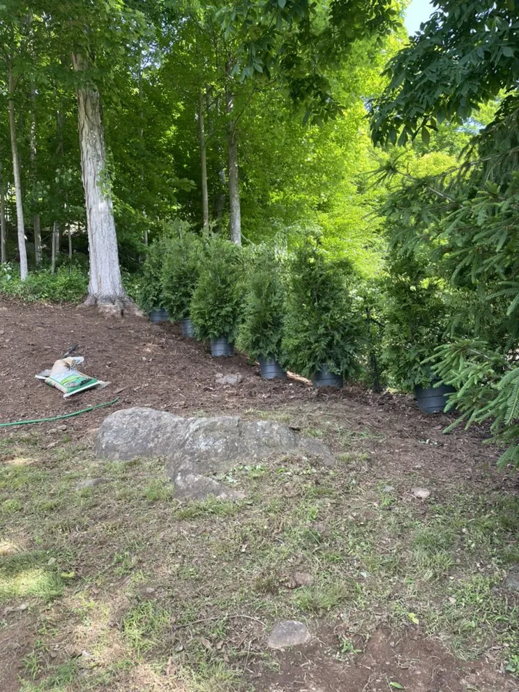 Local yard maintenance for beautiful yards in Mount Kisco, NY by Jg landscape & garden and design