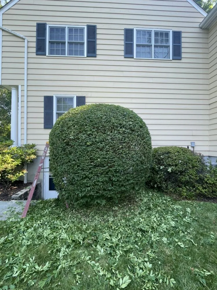 Expert yard maintenance experts serving Mount Kisco, NY - Jg landscape & garden and design