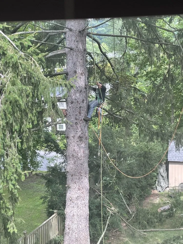 Affordable yard cleanup service experts serving Mount Kisco, NY - Jg landscape & garden and design