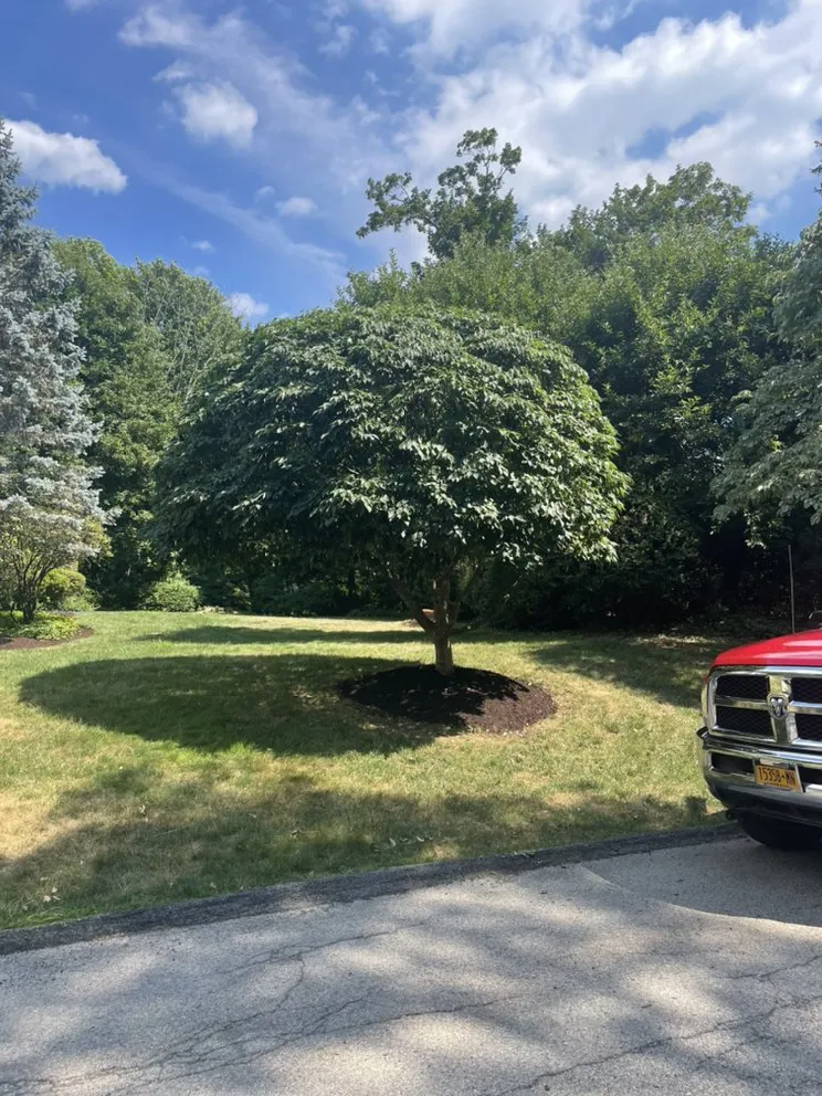 Top-rated lawn care service for year-round maintenance in Mount Kisco, NY by Jg landscape & garden and design