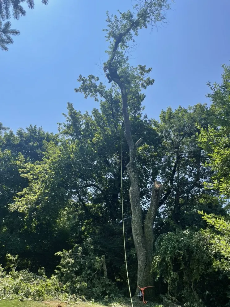 Reliable lawn mowing service for homes in Mount Kisco, NY by Jg landscape & garden and design