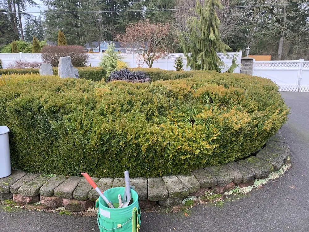 Top-rated yard maintenance for beautiful yards across Puyallup, WA - Jg landscape llc
