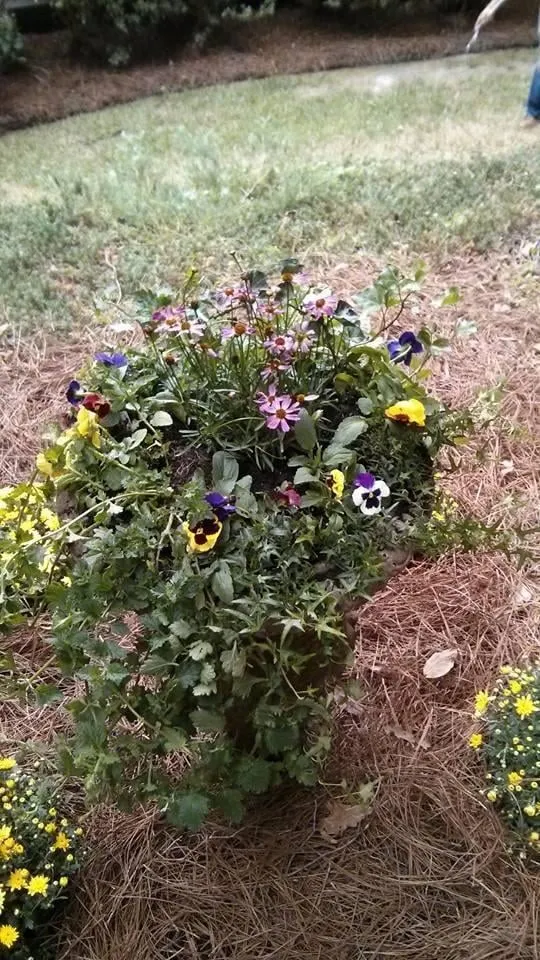 Reliable lawn mowing service for year-round maintenance across Charlotte, NC - JG Landscaping