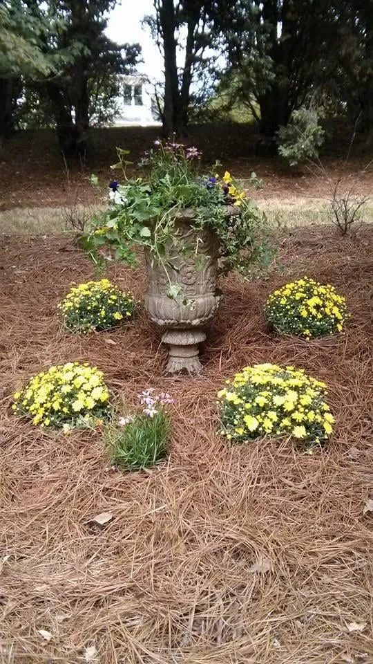 Reliable landscaping services in Charlotte, NC by JG Landscaping