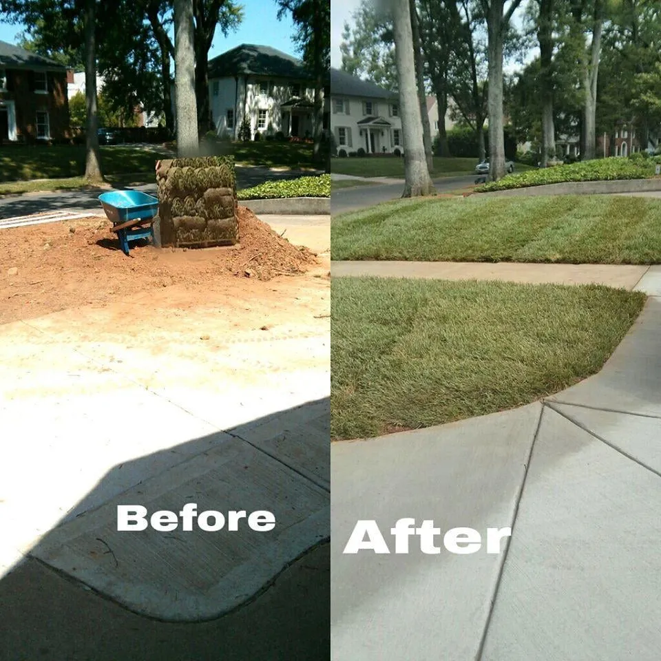 Professional yard maintenance experts serving Charlotte, NC - JG Landscaping