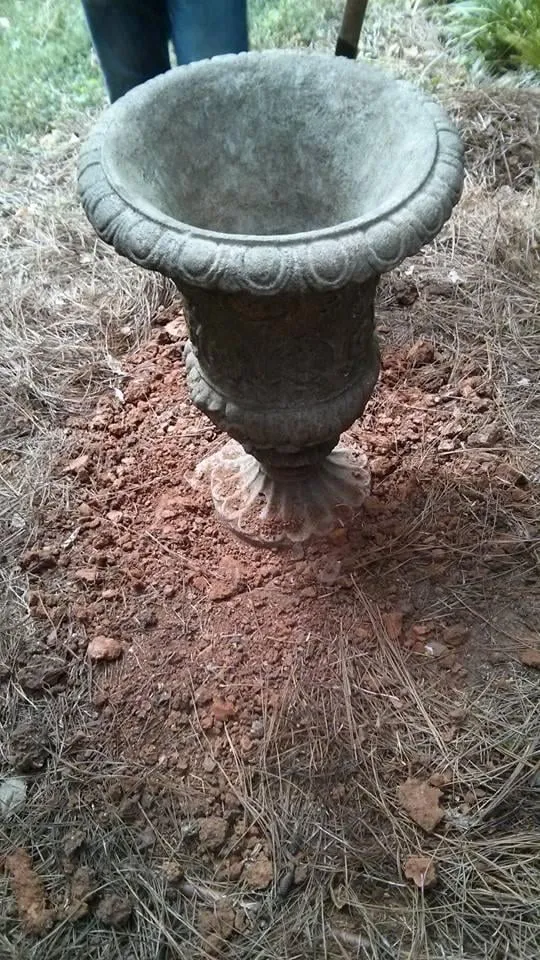 Local lawn care service experts serving Charlotte, NC - JG Landscaping