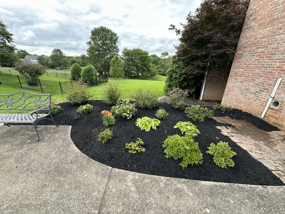 Affordable yard cleanup service in Clarksville, TN - JG Landscaping