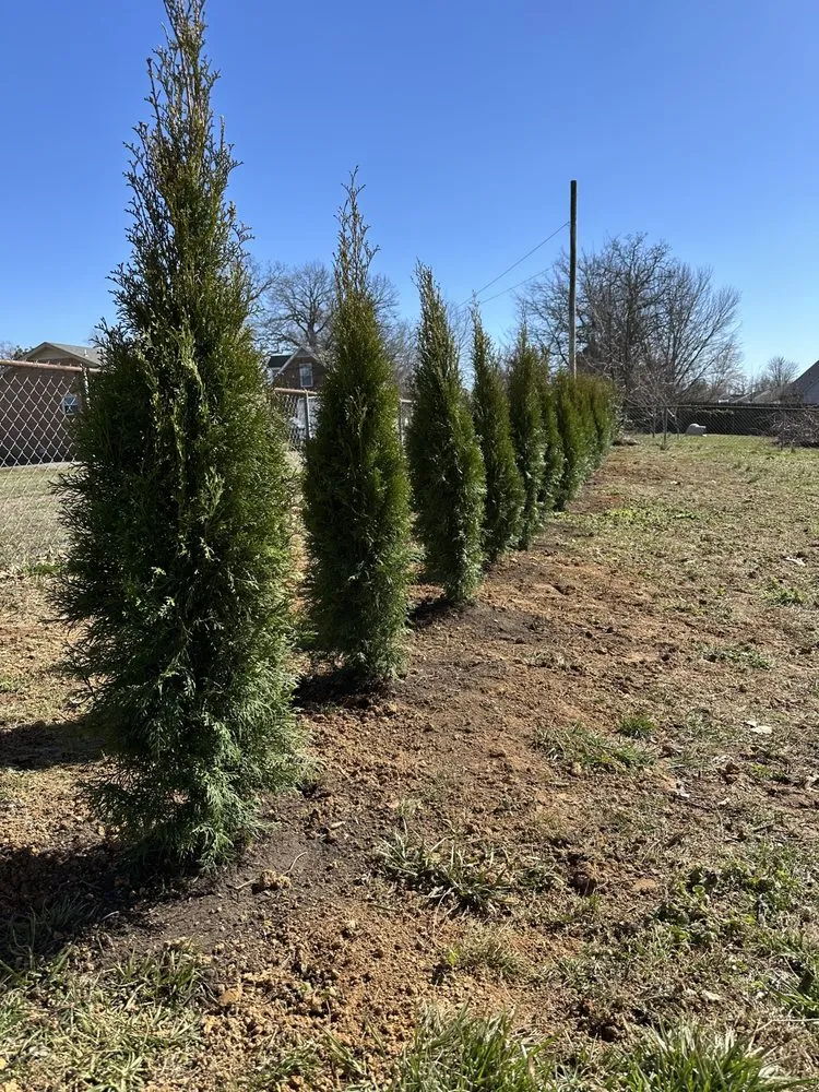 Affordable residential landscaping for homes across Clarksville, TN - JG Landscaping