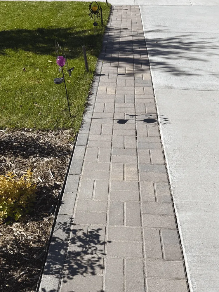 Local yard cleanup service in Colorado Springs, CO - JG Landscaping