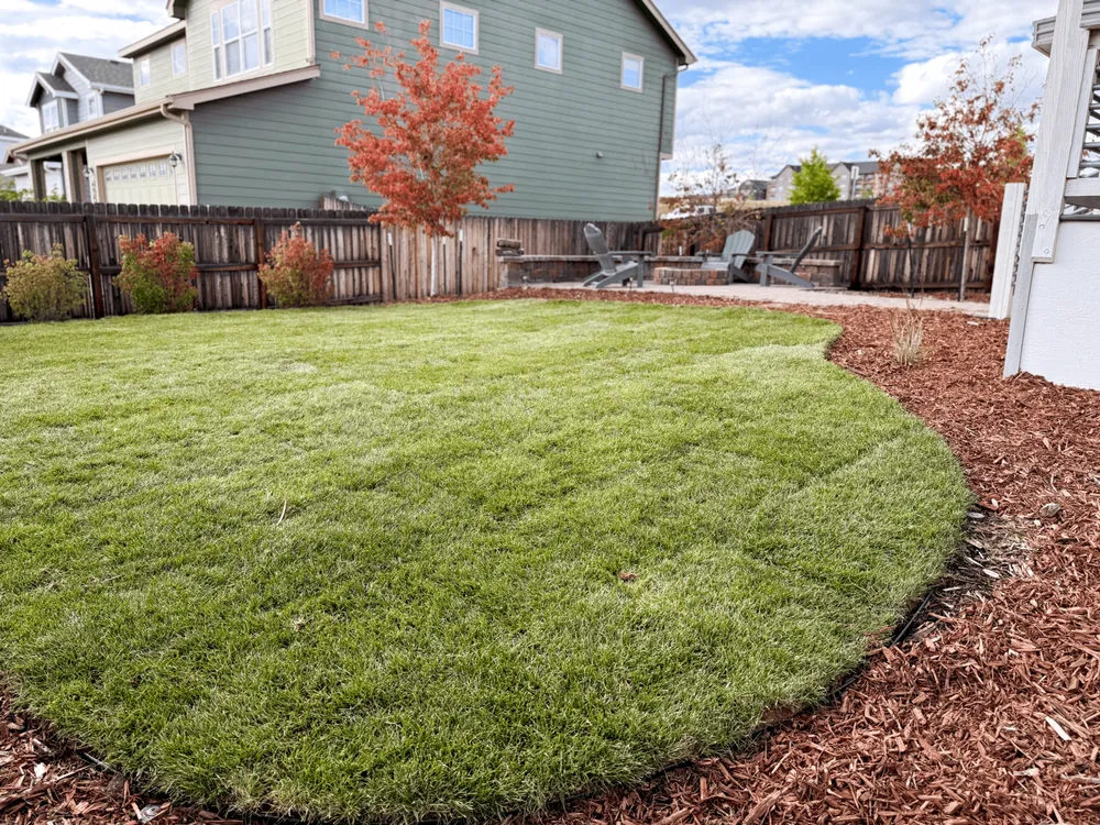 Top-rated yard maintenance with custom design in Colorado Springs, CO by JG Landscaping