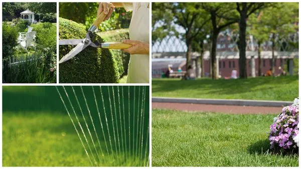 JG Landscaping Company