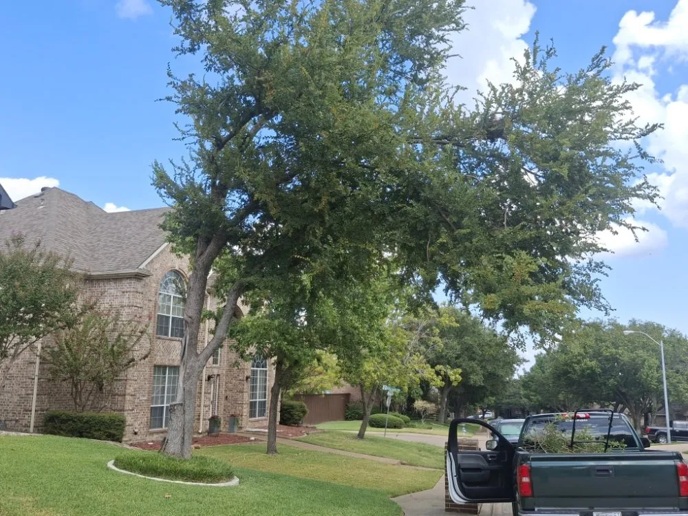 Trusted lawn mowing service in Dallas, TX by J&G Landscaping