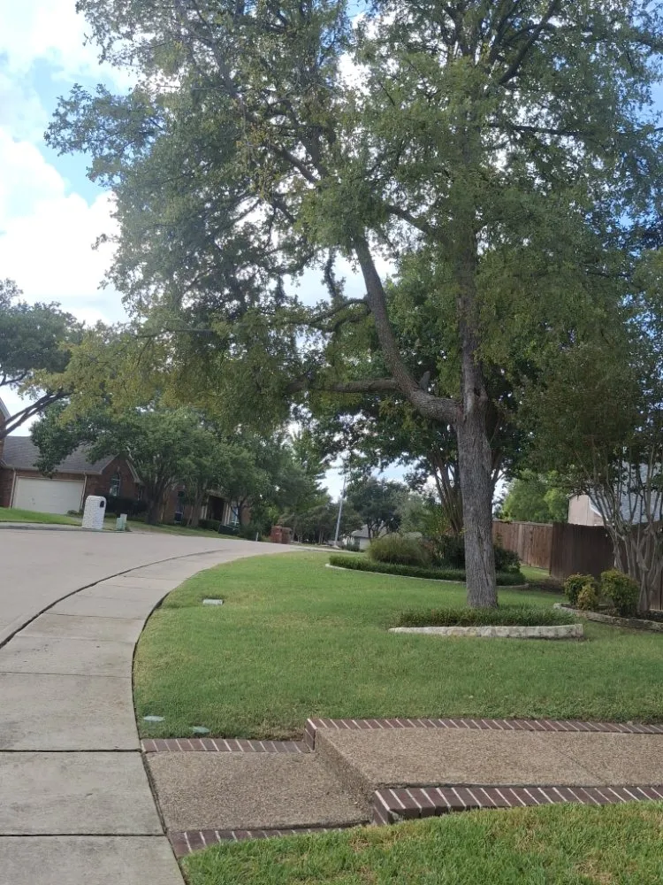 Top-rated yard cleanup service in Dallas, TX - J&G Landscaping