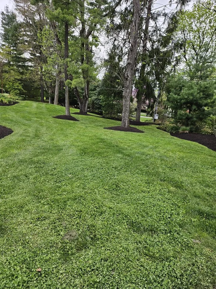 Trusted landscape installation for year-round maintenance in Drexel Hill, PA by J&G Landscaping