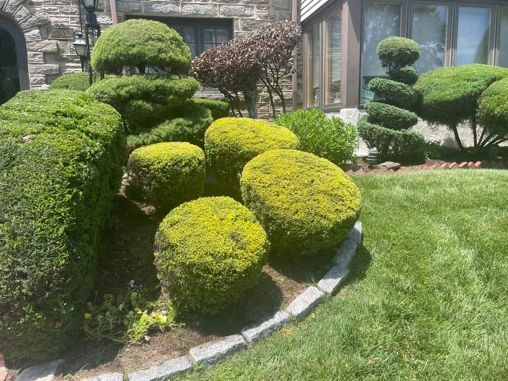 Expert residential landscaping in Drexel Hill, PA - J&G Landscaping