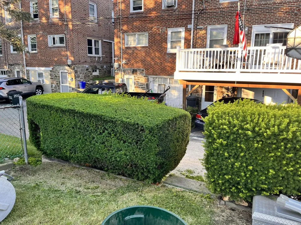 Affordable lawn care service for beautiful yards across Drexel Hill, PA - J&G Landscaping