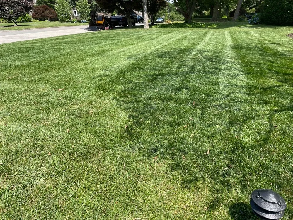 Expert lawn care service in Drexel Hill, PA by J&G Landscaping