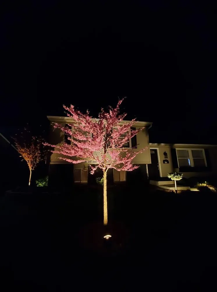 Professional yard maintenance experts serving Forest Park, OH - JG Landscaping