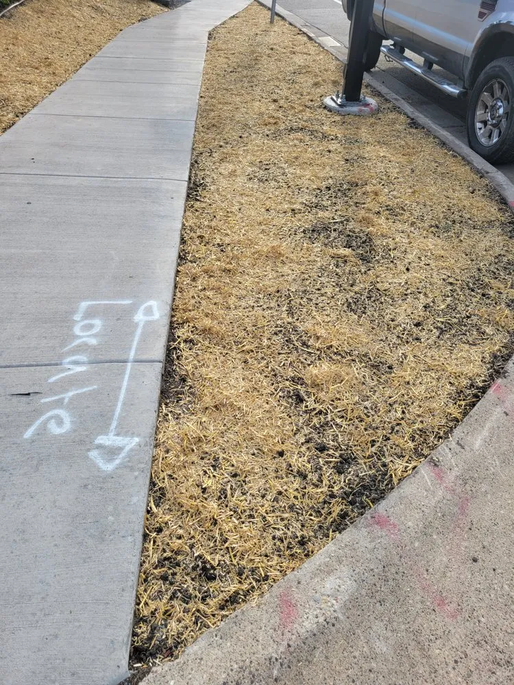 Top-rated garden landscaping for residential properties in Minneapolis, MN by JG Landscaping