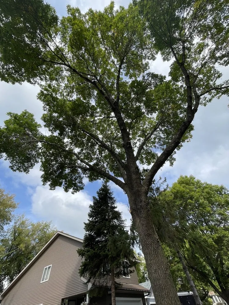 Expert garden landscaping for residential properties across Minneapolis, MN - JG Landscaping