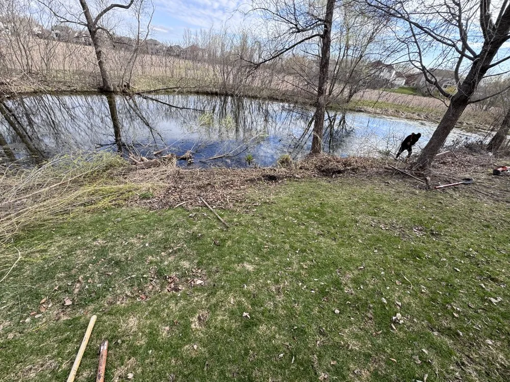 Trusted yard cleanup service in Minneapolis, MN by JG Landscaping