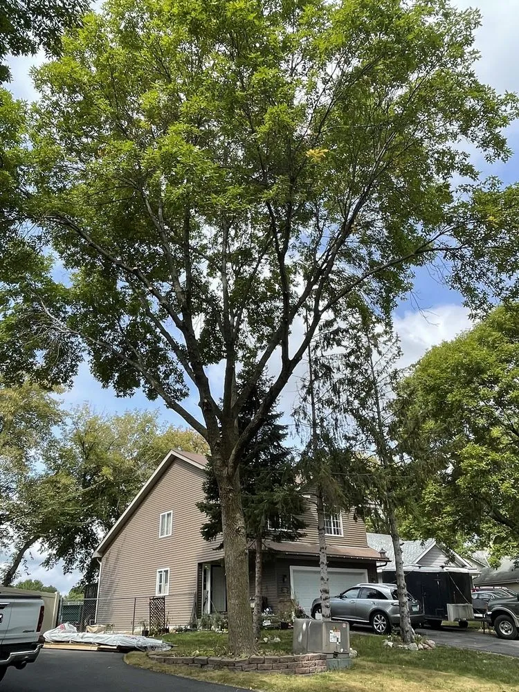 Top-rated yard maintenance for homes across Minneapolis, MN - JG Landscaping