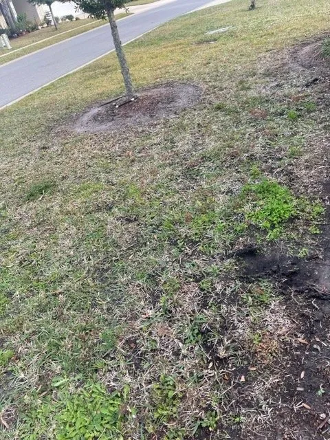 Reliable landscape design in St. Augustine, FL - JG Landscaping Pro