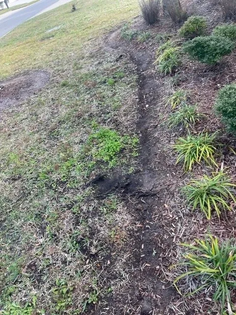 Reliable garden landscaping near you in St. Augustine, FL by JG Landscaping Pro