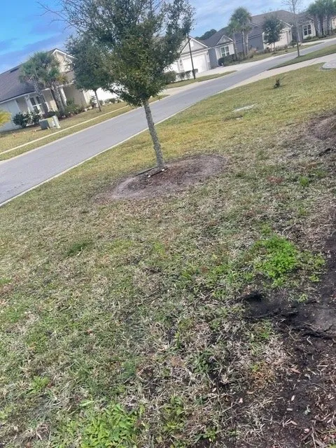 Affordable garden landscaping experts serving St. Augustine, FL - JG Landscaping Pro