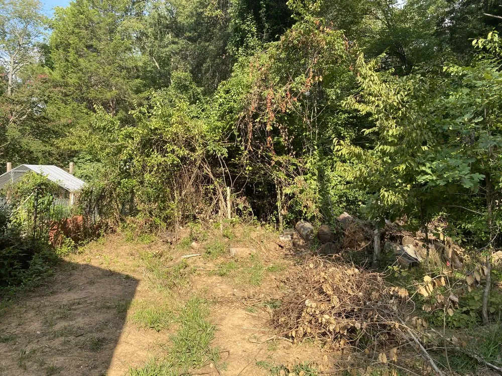 Professional landscape design in Ruckersville, VA - J&G Landscaping