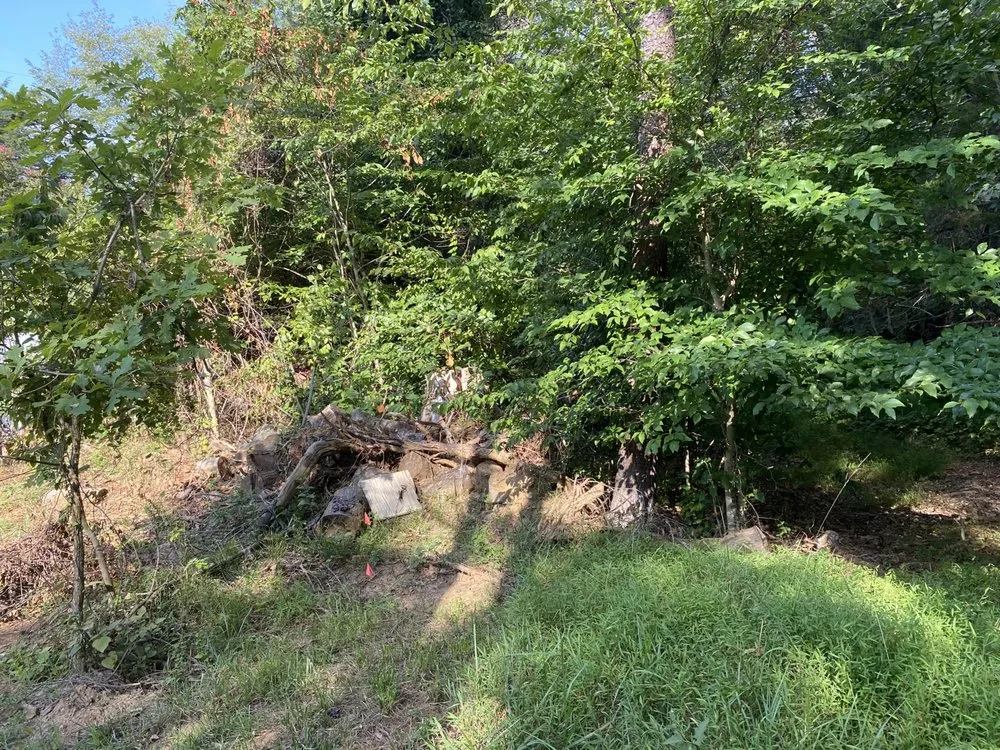 Top-rated landscape installation for year-round maintenance in Ruckersville, VA by J&G Landscaping