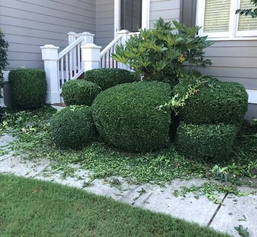 Affordable residential landscaping in Santa Rosa, CA - Jg Landscaping