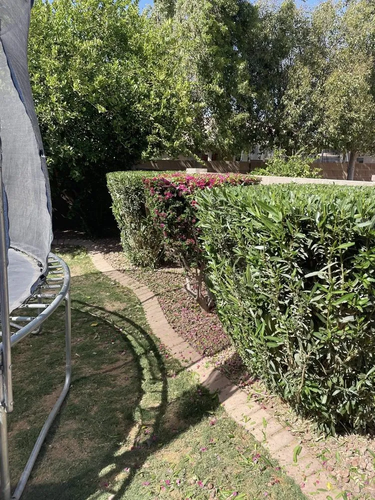 Expert residential landscaping for beautiful yards across Yuma, AZ - JG Landscaping Service