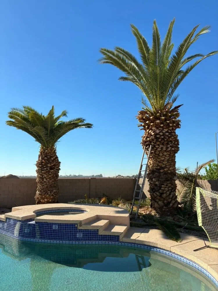 Professional residential landscaping in Yuma, AZ by JG Landscaping Service