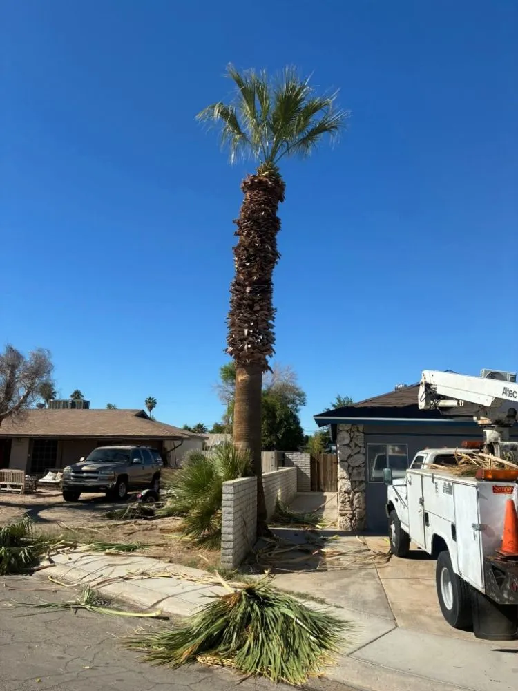 Local landscape design for homes in Yuma, AZ by JG Landscaping Service