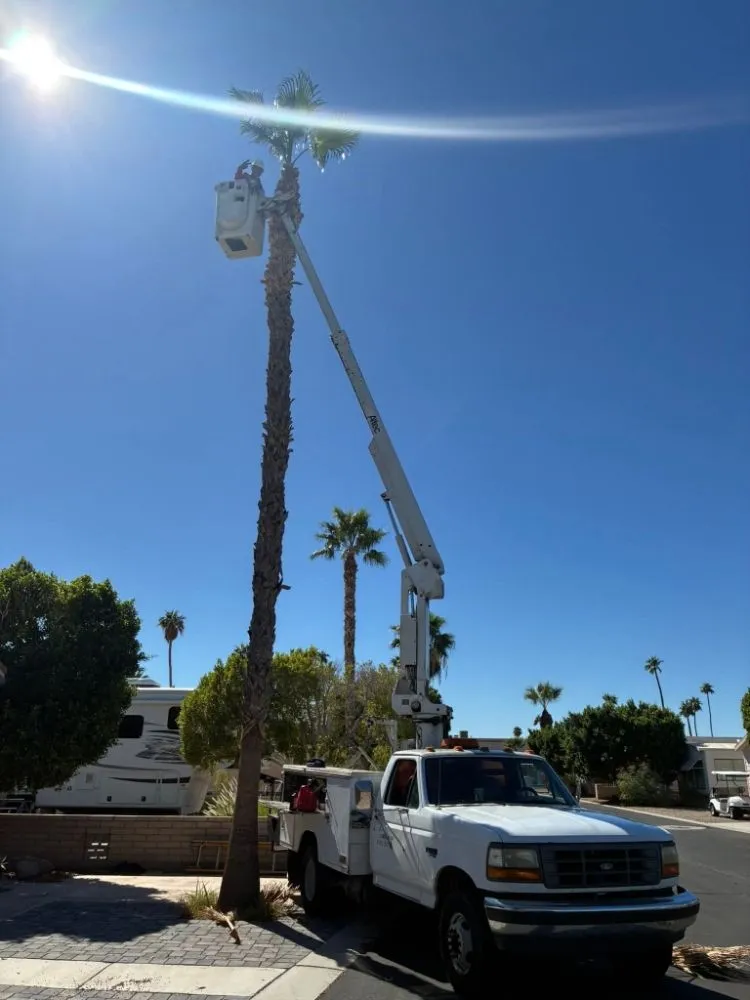 Top-rated landscaping services experts serving Yuma, AZ - JG Landscaping Service