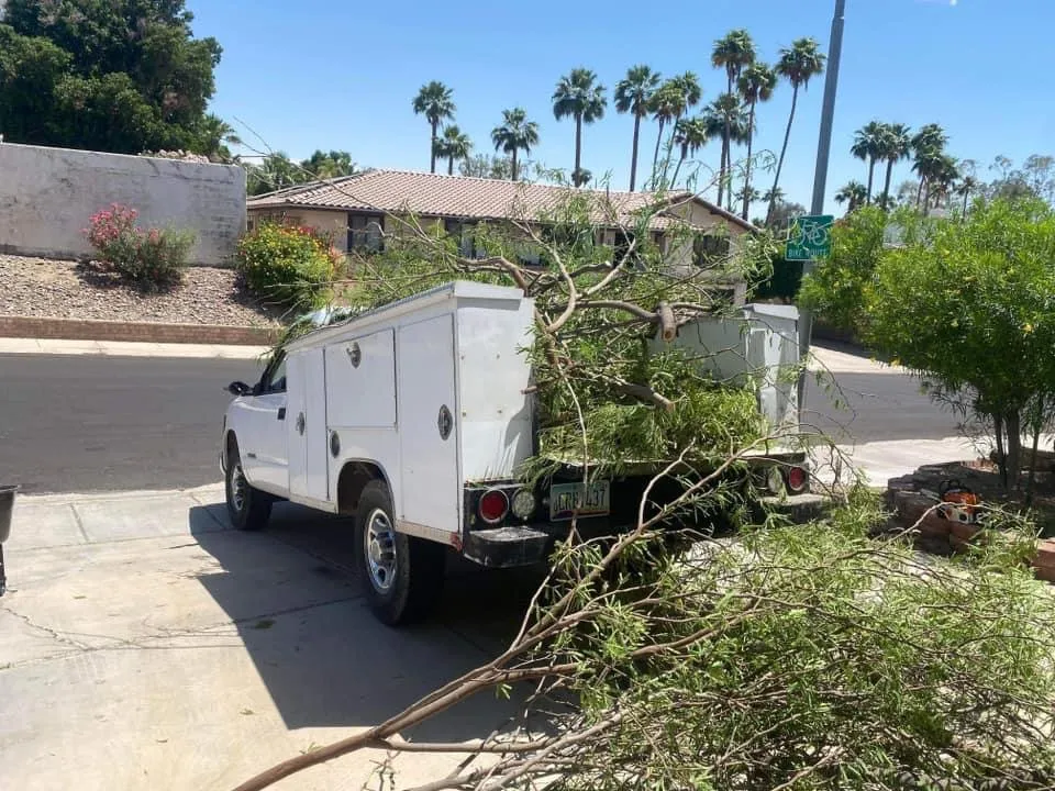 Local yard maintenance with custom design in Yuma, AZ by JG Landscaping Service