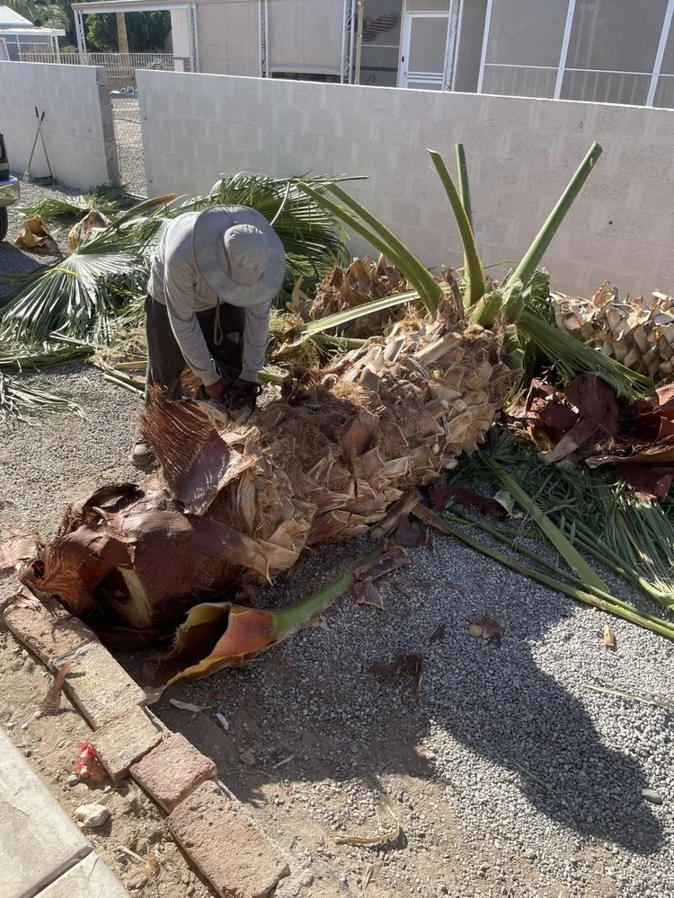 Expert landscape design in Yuma, AZ by JG Landscaping Service