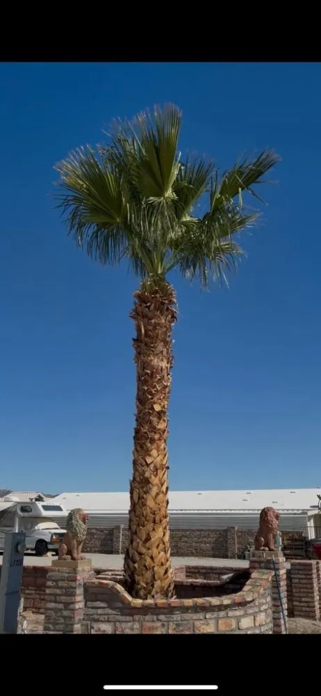 Local garden landscaping experts serving Yuma, AZ - JG Landscaping Service