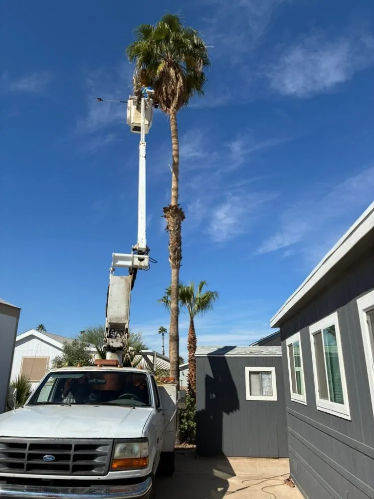 Top-rated garden landscaping experts serving Yuma, AZ - JG Landscaping Service