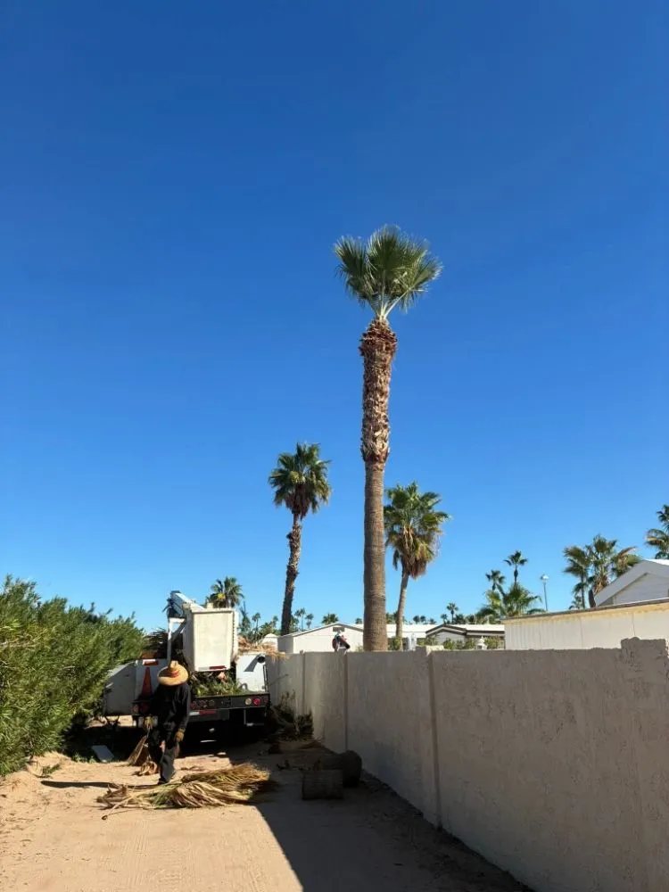 Custom garden landscaping in Yuma, AZ - JG Landscaping Service