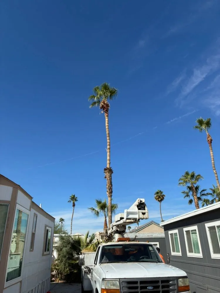 Affordable yard maintenance for outdoor upgrades across Yuma, AZ - JG Landscaping Service