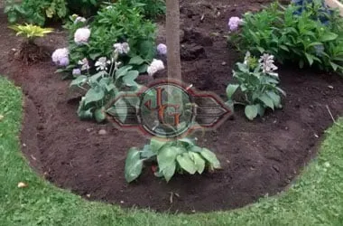 Reliable lawn mowing service near you across Brookfield, IL - JG Landscaping Services & Snow Removal