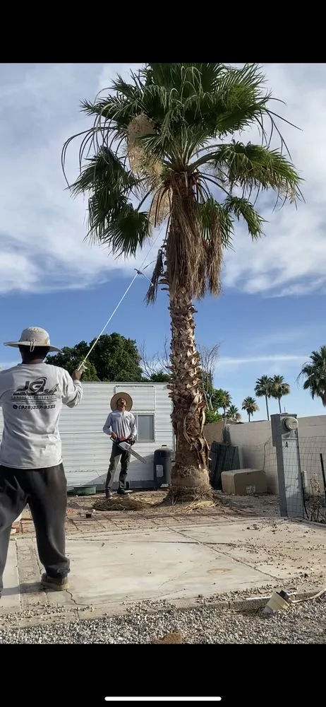 Affordable garden landscaping experts serving Yuma, AZ - JG Landscaping Services