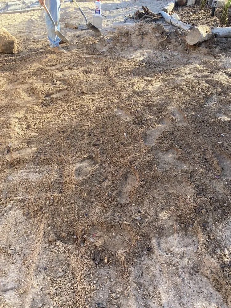 Reliable outdoor landscaping in Yuma, AZ - JG Landscaping Services