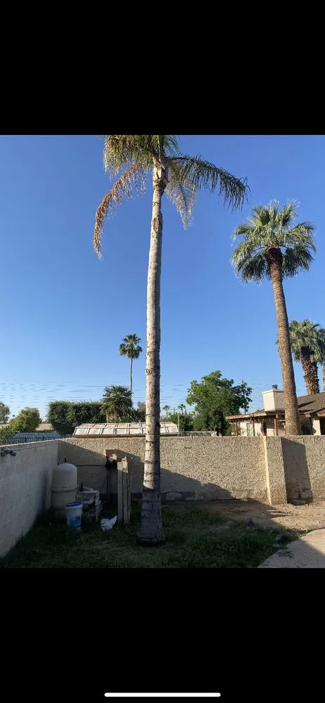 Trusted lawn care service for residential properties across Yuma, AZ - JG Landscaping Services