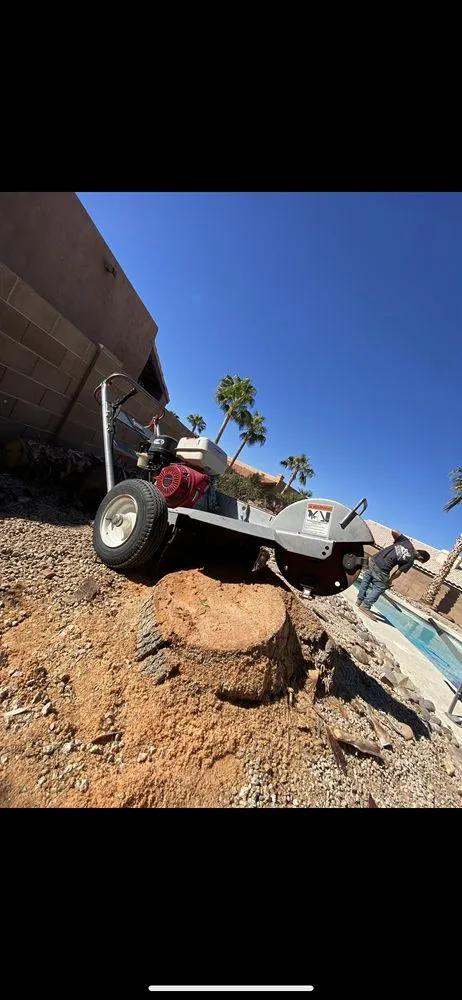 Custom landscape design for year-round maintenance in Yuma, AZ by JG Landscaping Services